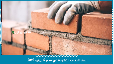سعر الطوب النهاردة في مصر 16 يونيو 2025